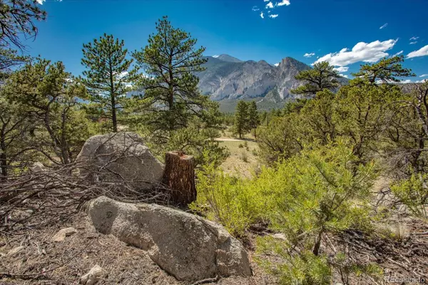 Nathrop, CO 81236,000 Oppliger DR