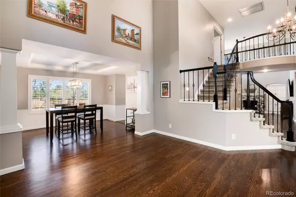 Parker, CO 80134,10028 Chelmsford TER