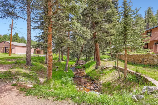 28268 Shadow Mountain DR, Conifer, CO 80433