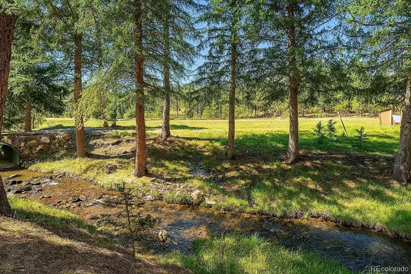 28268 Shadow Mountain DR, Conifer, CO 80433