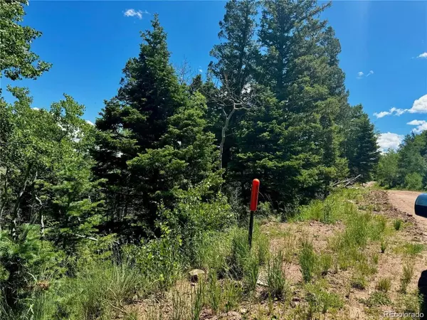 Fort Garland, CO 81133,2348 Benton PL