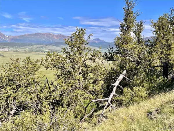 Fairplay, CO 80440,4513 Middle Fork Vista Lot 562