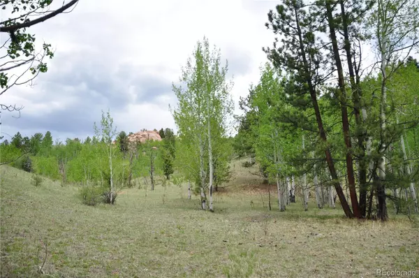 Florissant, CO 80816,5942 County Road 1