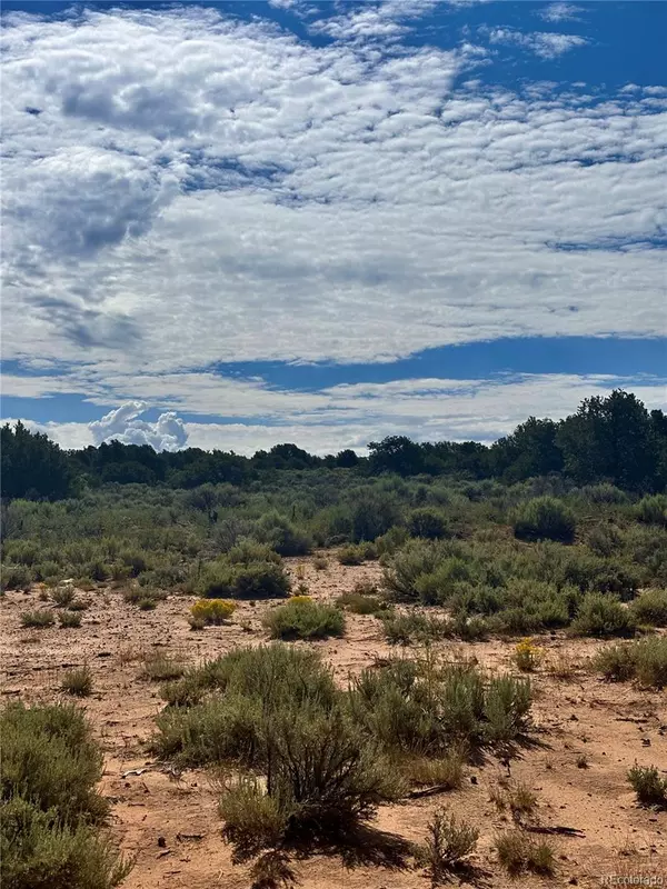 San Luis, CO 81152,15946 Tower RD