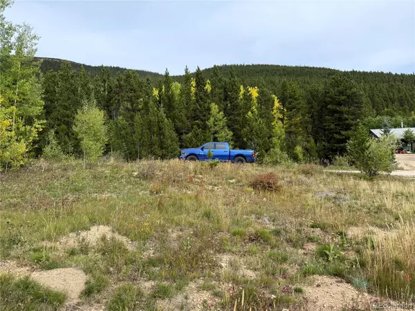 Idaho Springs, CO 80452,Lot 558 Little Creek RD