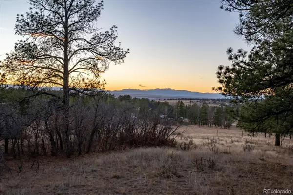Parker, CO 80134,10421 Remmick Ridge RD
