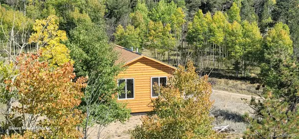 61 Garnet LN, Lake George, CO 80827