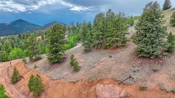 Cripple Creek, CO 80813,358 El Paso CT