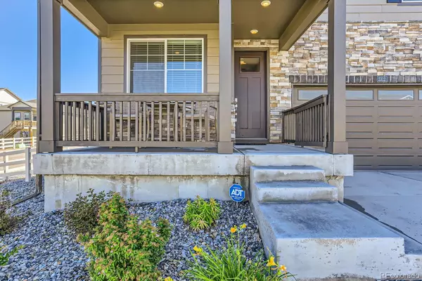 Castle Rock, CO 80104,2312 Rosette LN