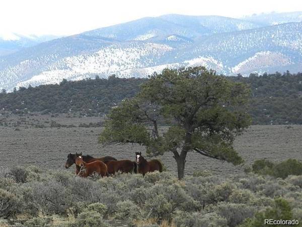 Elk Park RD, San Luis, CO 81152