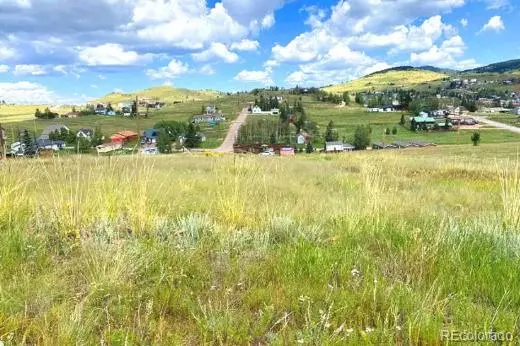 1111 Whalen AVE, Cripple Creek, CO 80813