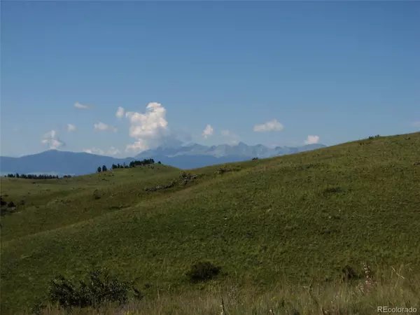 Westcliffe, CO 81252,Lot 197