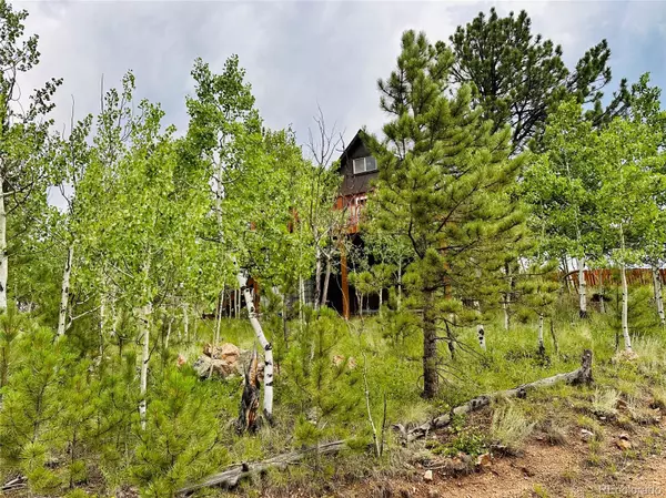 Bailey, CO 80421,229 Mcdougal RD