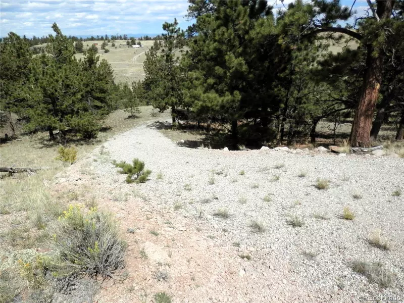 99 Pack Saddle CT, Hartsel, CO 80449