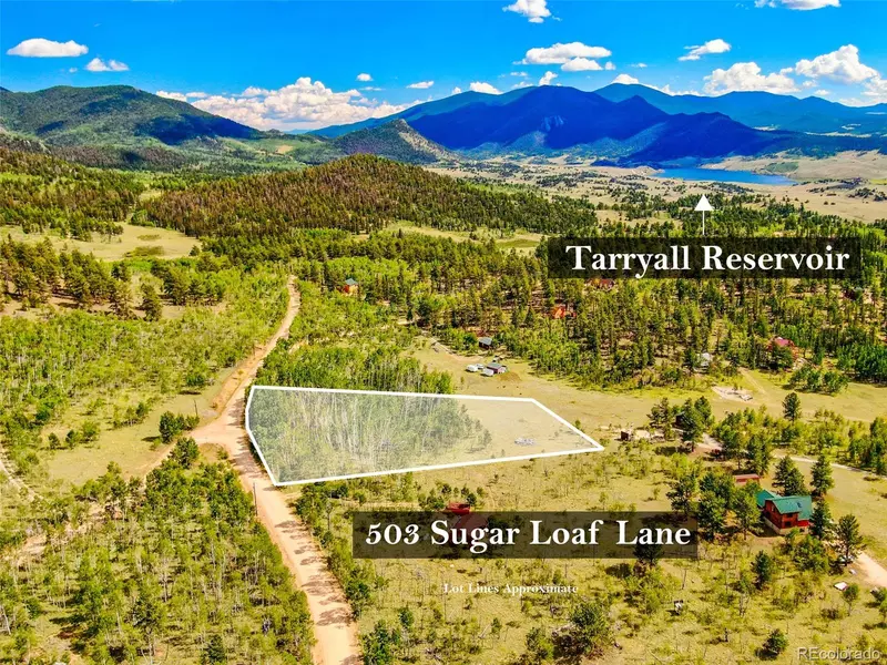 503 Sugar Loaf LN, Jefferson, CO 80456