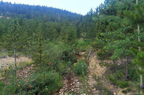 Idaho Springs, CO 80452,Lot 316 Aspen RD