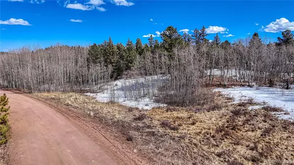 Florissant, CO 80816,654 Aspen Way DR