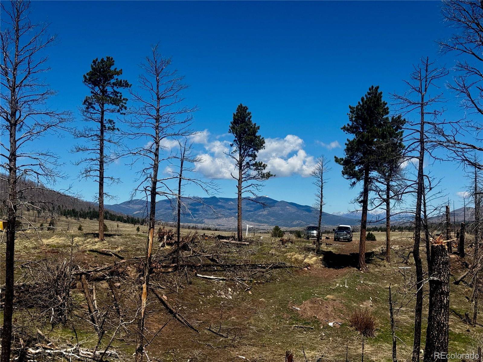 Fort Garland, CO 81133,lot 1005 Foy PL