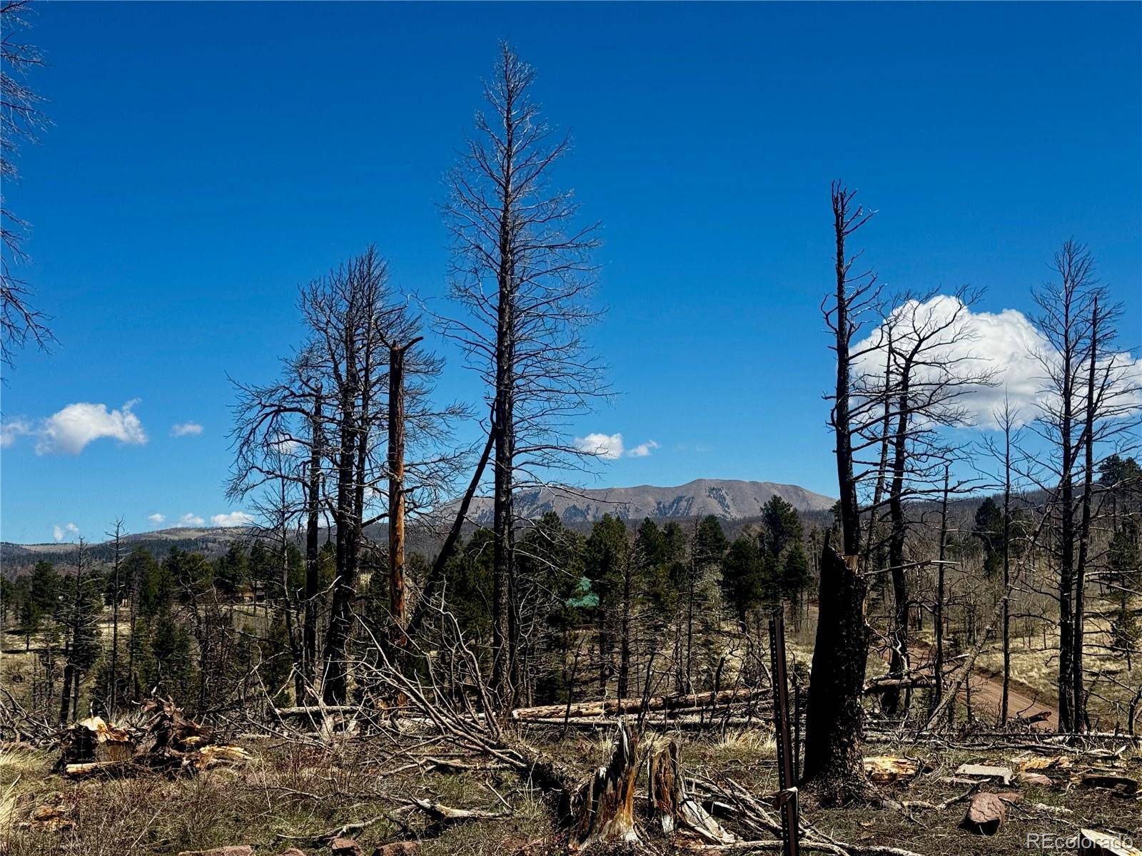Fort Garland, CO 81133,lot 1005 Foy PL