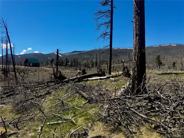 Fort Garland, CO 81133,lot 1005 Foy PL