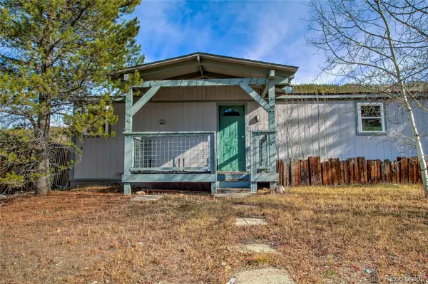 Breckenridge, CO 80424,56 Magnum Bonum DR