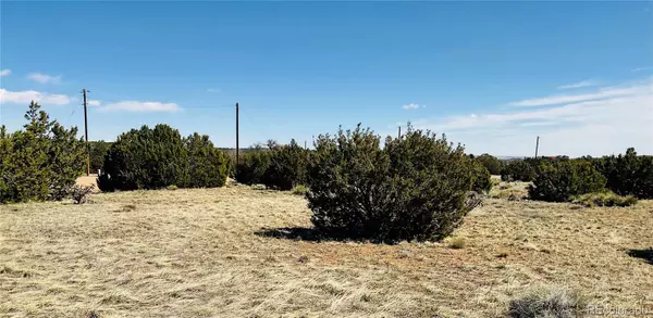 Walsenburg, CO 81089,Lot 61 N Buffalo DR