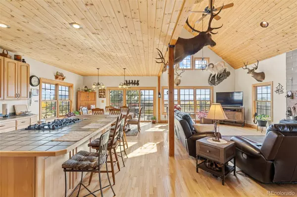 Hartsel, CO 80449,76 No Place RD
