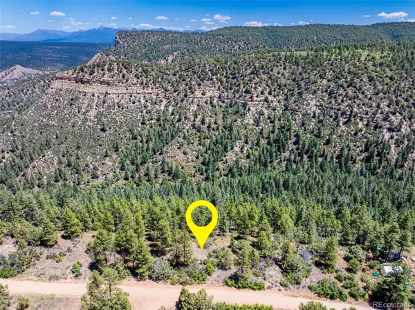 783 Gun Barrel RD, Pagosa Springs, CO 81147
