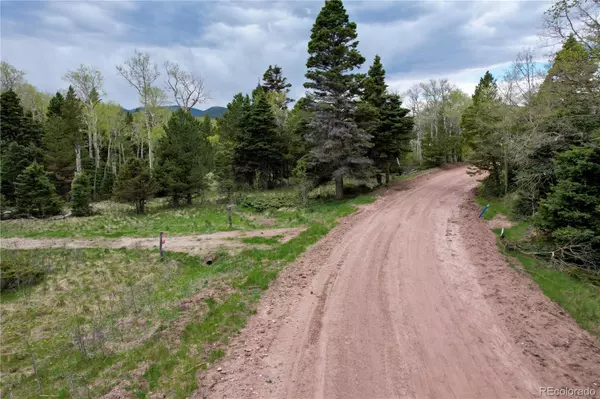 2664 Grojean DR, Fort Garland, CO 81133