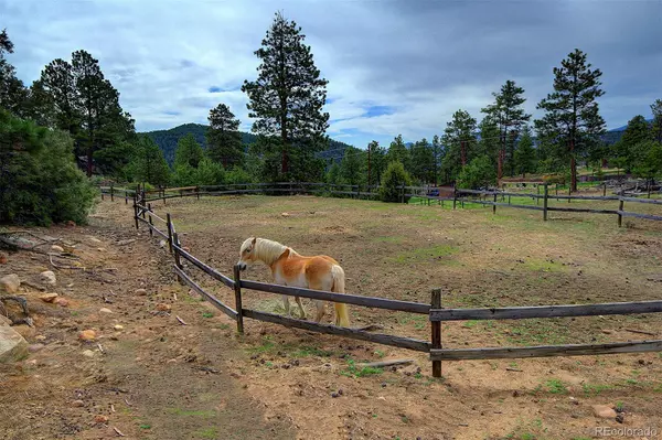 Bailey, CO 80421,114 Star LN