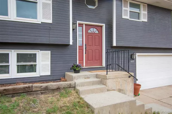 Palmer Lake, CO 80133,103 Aurelia ST