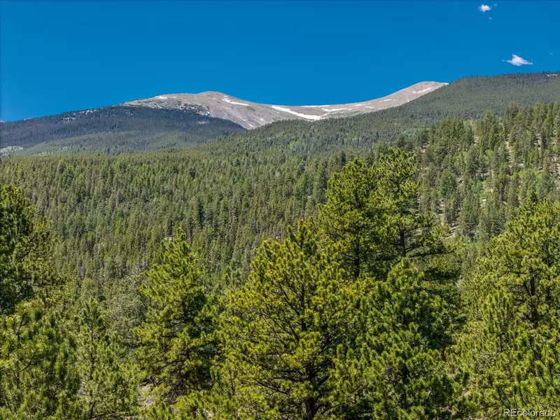 Overlook  DR, Buena Vista, CO 81211