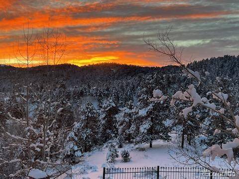Evergreen, CO 80439,27122 Sun Ridge DR