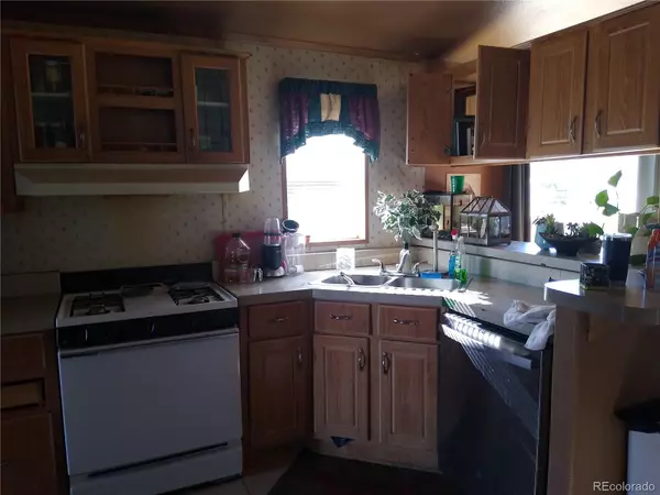 Fairplay, CO 80440,102 Royal Coachman LN