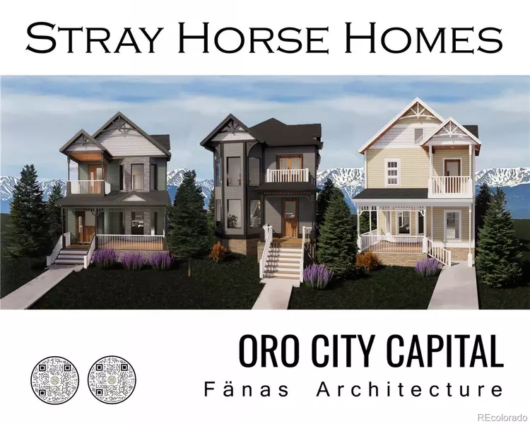607 E 8th ST, Leadville, CO 80461