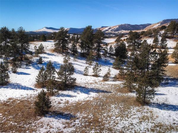 TBD Owls Nest RD, Guffey, CO 80820