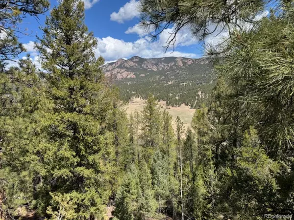 Pine, CO 80470,33505 Diana RD