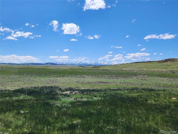 2709 Park AVE, Hartsel, CO 80449