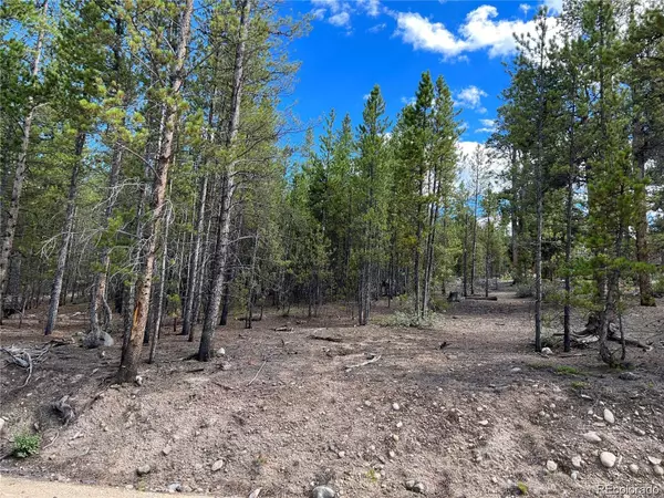 Twin Lakes, CO 81251,142 Juniper DR