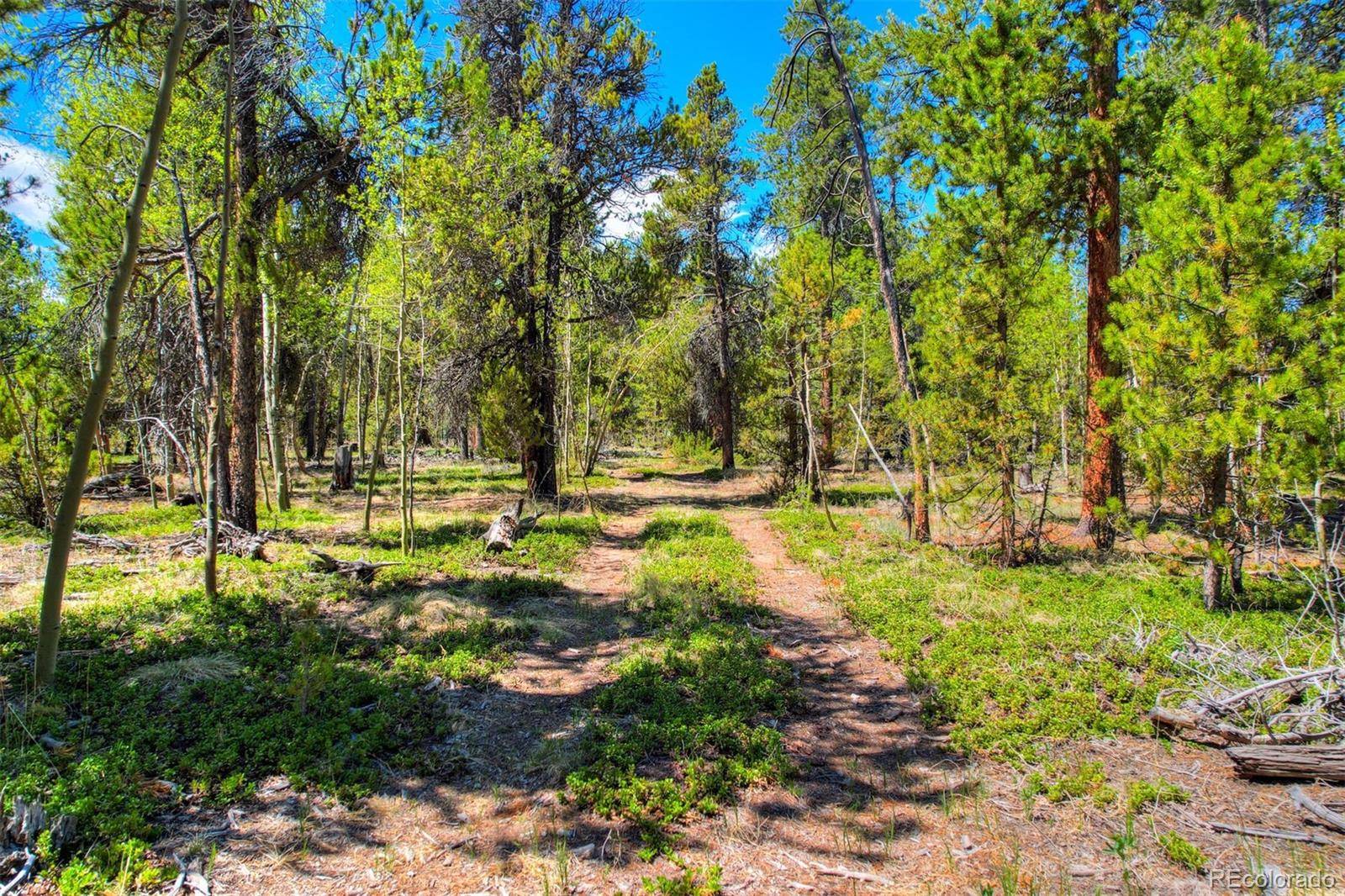 Fairplay, CO 80440,0 Busch Run RD