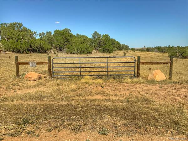 Turkey Ridge East, Walsenburg, CO 81089