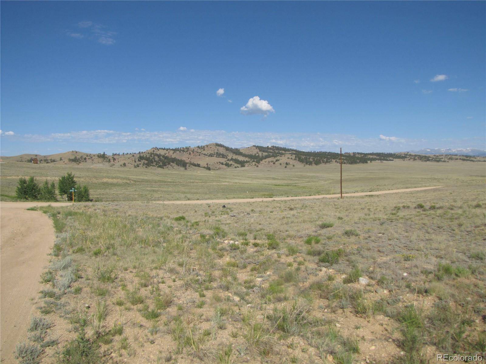 Hartsel, CO 80449,0 Chickasaw