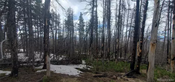 Fort Garland, CO 81133,Lot 2738 Newman PL