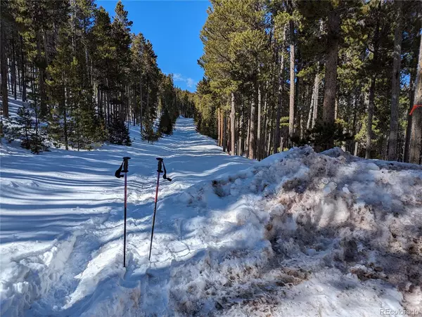 Fort Garland, CO 81133,3412 Drexler PL