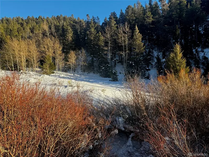 Lot 223 Highway 160, Fort Garland, CO 81133