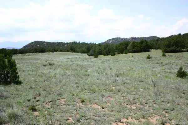 Westcliffe, CO 81252,10767 County Road 255