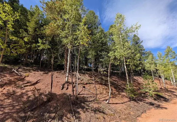 Divide, CO 80814,60 Fluorite LN