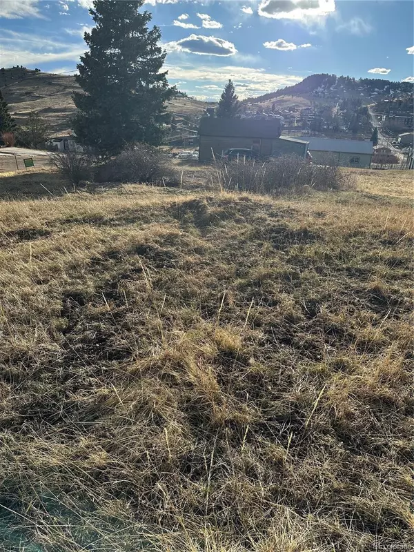 Cripple Creek, CO 80863,Whiting AVE