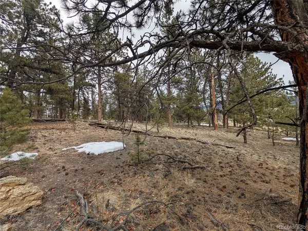 Hartsel, CO 80449,291 Shenandoah PATH