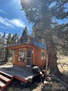 377 Black Mountain VIS, Guffey, CO 80820